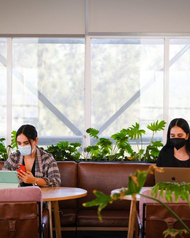 Dos chicas con sus computadoras trabajando en el espacio de coworking de REDi Zapotlán